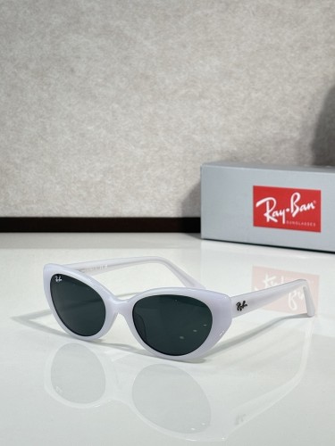 RB Sunglasses AAAA-113