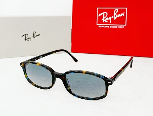 RB Sunglasses AAAA-038