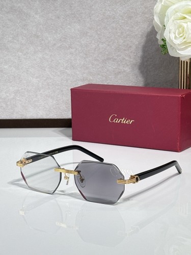 Cartier Sunglasses AAAA-12208