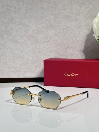 Cartier Sunglasses AAAA-12130