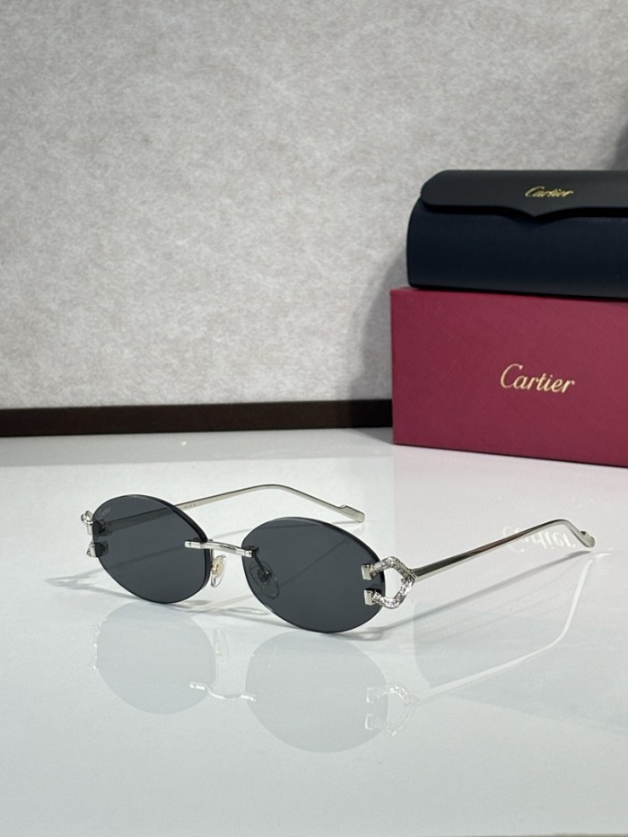 Cartier Sunglasses AAAA-11610