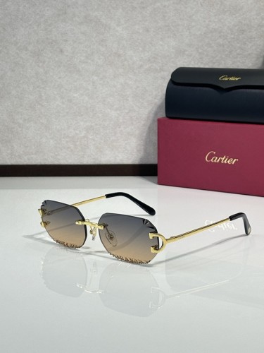 Cartier Sunglasses AAAA-11676