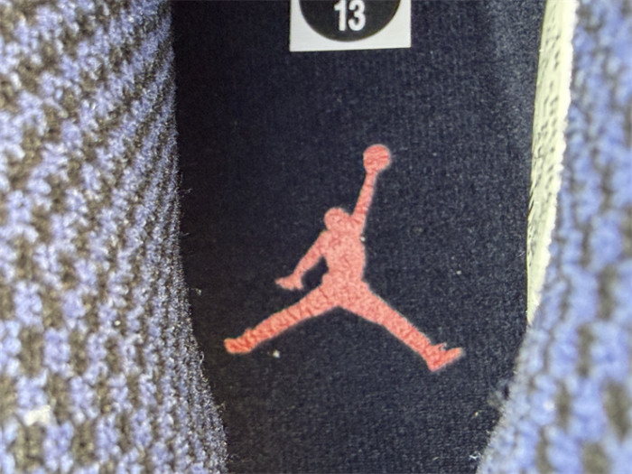 Authentic Air Jordan 10 Retro Ice Blue