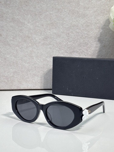 Dior Sunglasses AAAA-4948