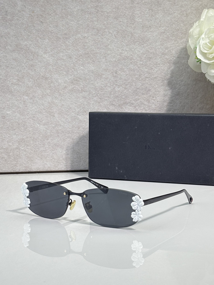 Dior Sunglasses AAAA-4935