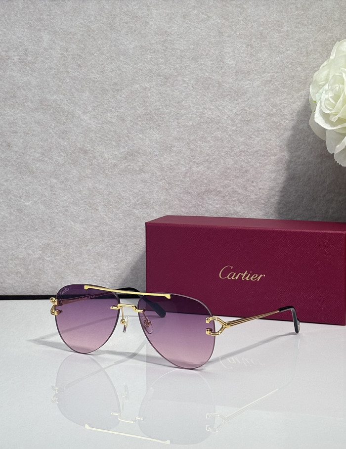 Cartier Sunglasses AAAA-13643