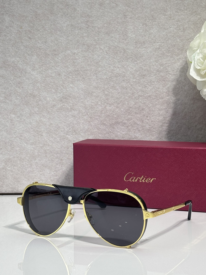 Cartier Sunglasses AAAA-13611