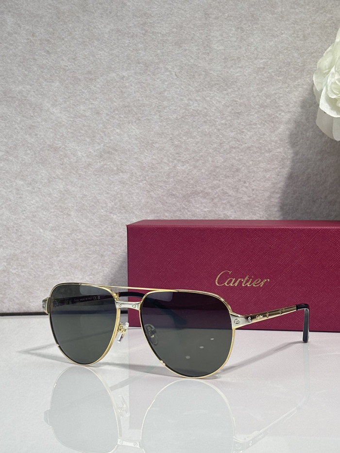 Cartier Sunglasses AAAA-13578