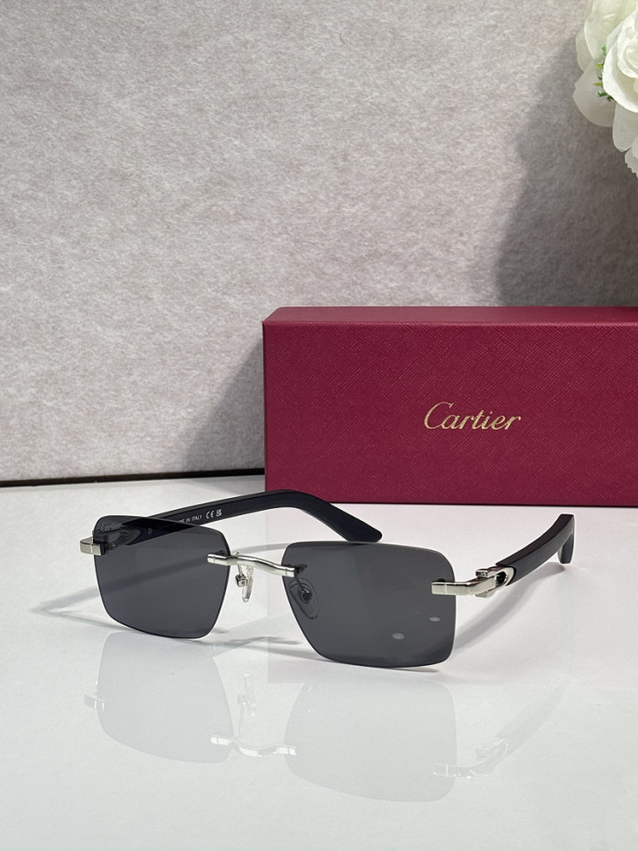 Cartier Sunglasses AAAA-14143