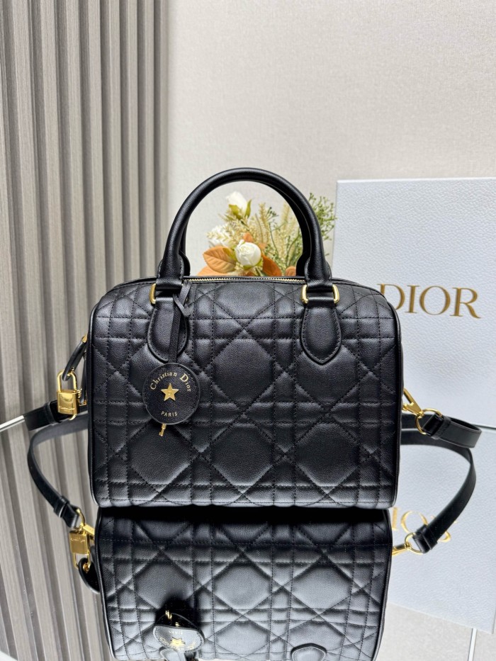 Dior High End Quality Bags-255