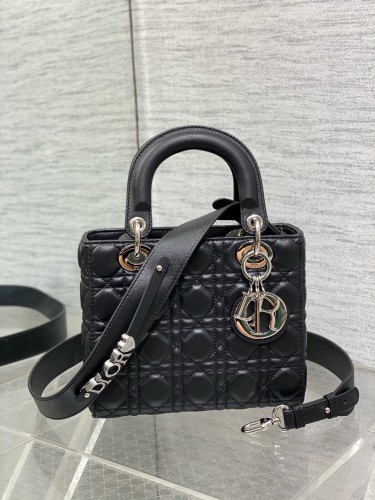 Dior High End Quality Bags-192