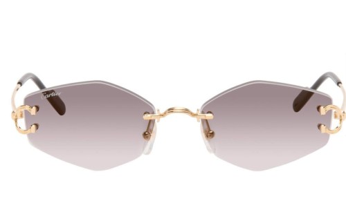 Cartier Sunglasses AAAA-14632