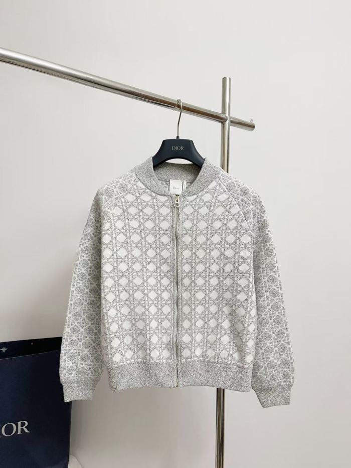 Dior Jacket High End Quality-265
