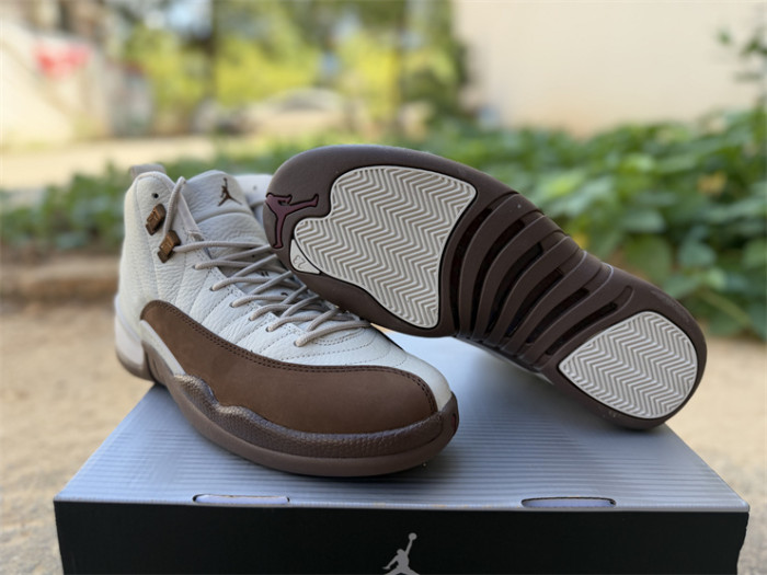 Authentic Air Jordan 12 “Fireside”