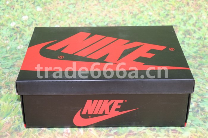 Air Jordan 1 OG High “Black Toe”2016