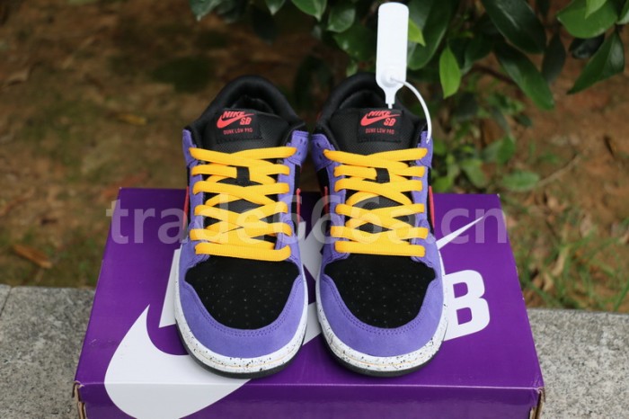 Authentic Nike SB Dunk Low “ACG”