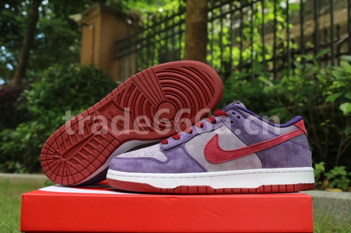 Authentic Nike Dunk Low “Plum”