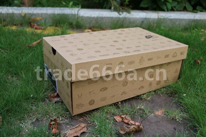 Authentic Nike Air Foamposite One Galaxy 1.0