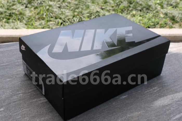 Authenitc Nike Air Foamposite Pro “Pearl”