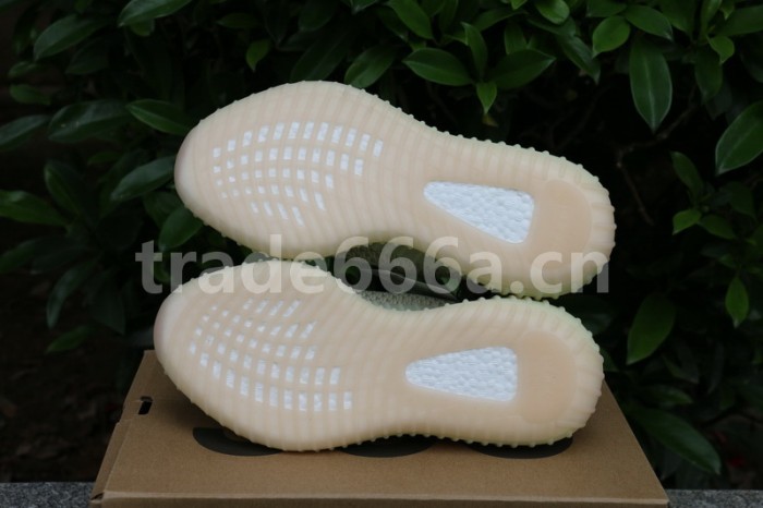 Authentic Yeezy Boost 350 V2 “ANTLIA”