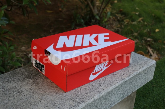 Authentic Nike Dunk Low SP “Ceramic”