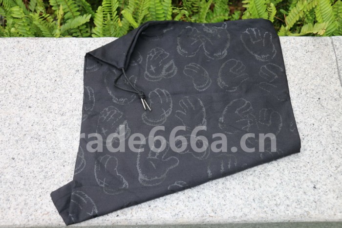 Authentic Kaws x Air Jordan 4 “Cool Grey”