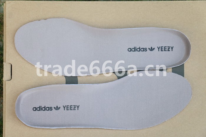 Authentic AD Yeezy 350 V2 Turtle Dove