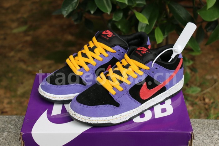 Authentic Nike SB Dunk Low “ACG”