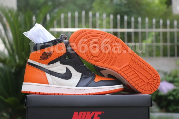 Authentic Air Jordan 1 GS Shattered Backboard