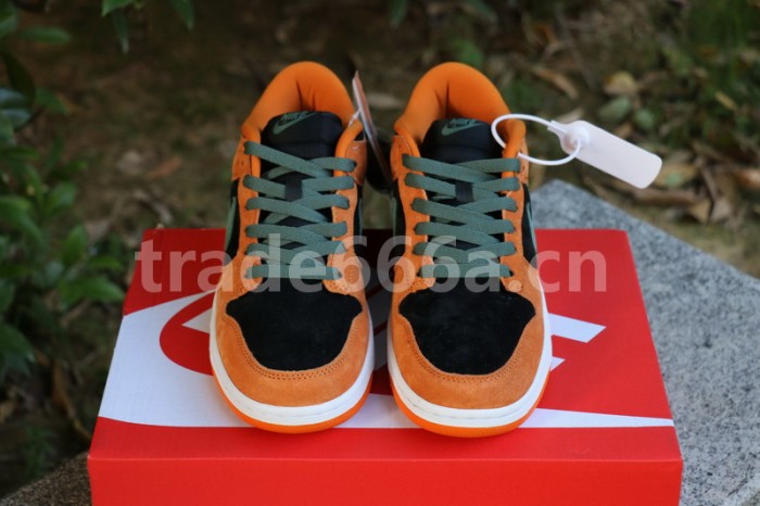 Authentic Nike Dunk Low SP “Ceramic”