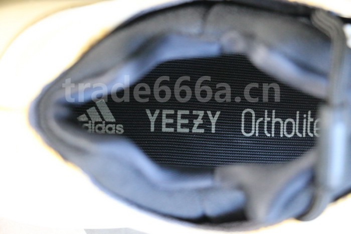 Authentic Yeezy 700 V3 “Srphym”