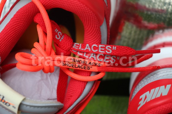 Authentic OFF-WHITE x Nike Dunk Low Red Grey