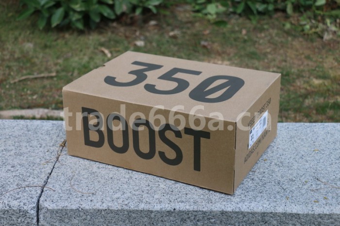 Authentic Yeezy Boost 350 V2 “Desert Sage”