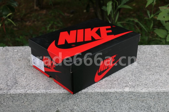 Authentic Air Jordan 1 High OG “Pine Green”