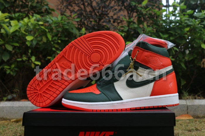 Authentic Solyfly x Air Jordan 1