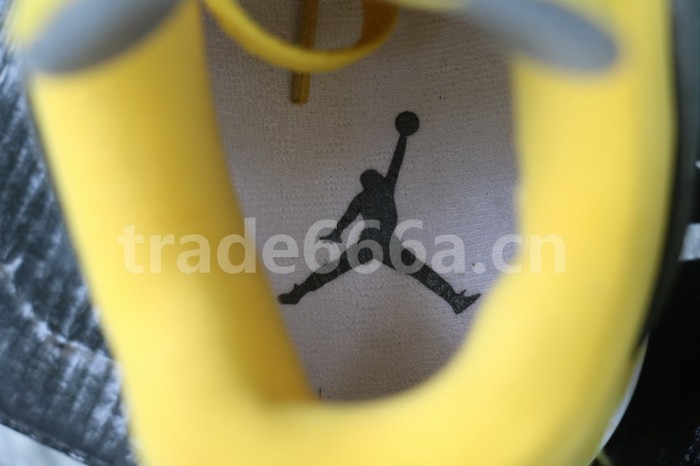 Authentic Air Jordan 4 “Lightning” 2018