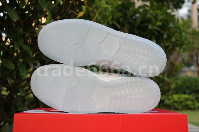 Authentic Kasina x Nike Dunk Low