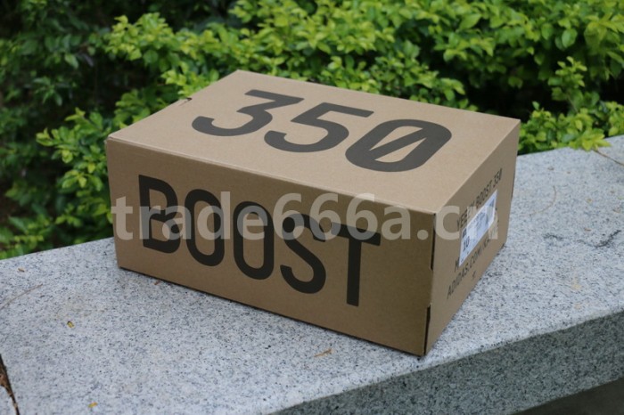 Authentic Yeezy Boost 350 V2 “Earth”