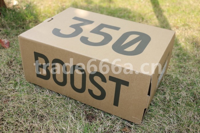 Authentic AD Yeezy 350 Boost V2 Zebra