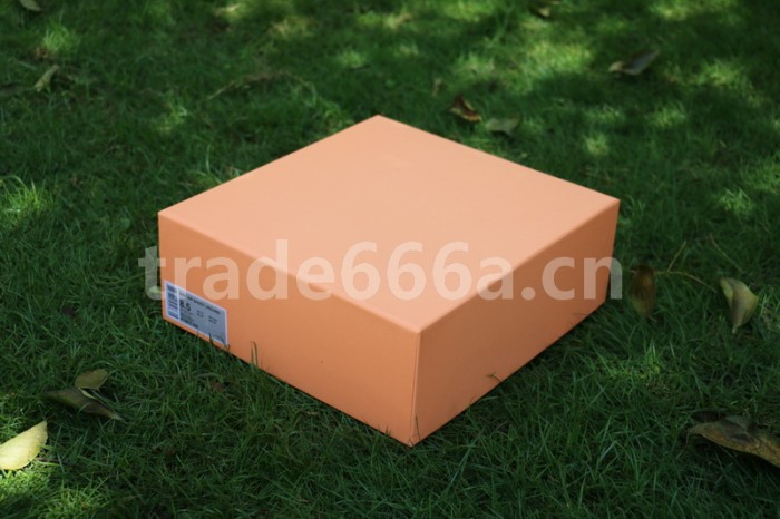 Authentic Nike Air Shot Around “Light Bone”