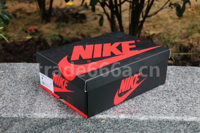 Authentic Air Jordan 1 “Rookie of the Year”