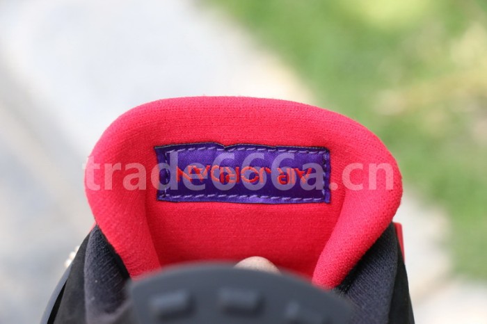 Authentic Air Jordan 4 NRG Raptors