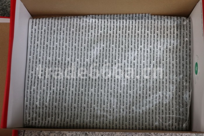 Authentic Air Jordan 1 WMNS “UNC To Chicago”