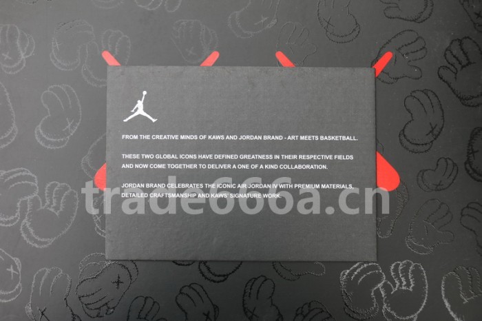 Authentic Kaws x Air Jordan 4 “Cool Grey”