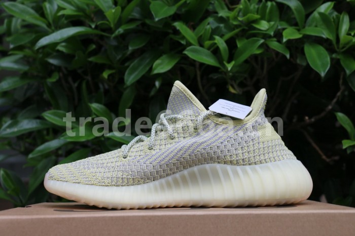 Authentic Yeezy Boost 350 V2 “ANTLIA”