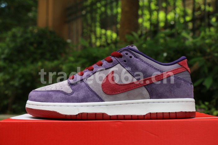 Authentic Nike Dunk Low “Plum”
