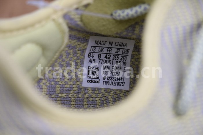 Authentic Yeezy Boost 350 V2 “ANTLIA”