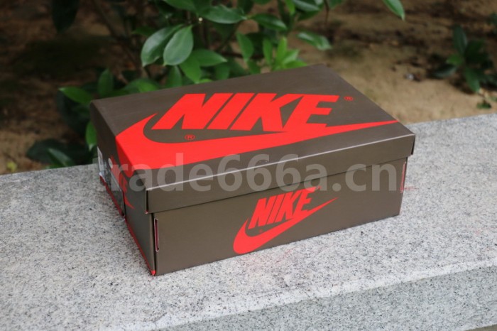 Authentic 2.0 Travis Scott x Air Jordan 1