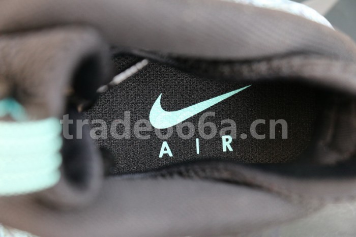 Authentic Air Foamposite PRM Abalone