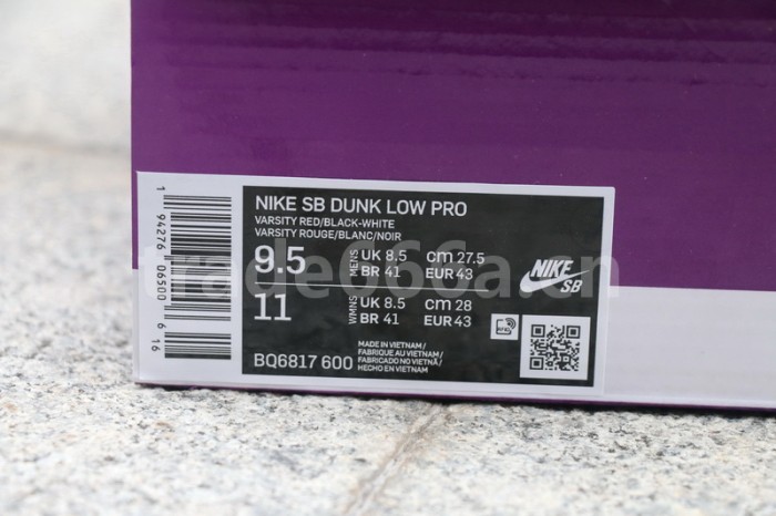 Authentic Nike Dunk SB Low “Chicago”